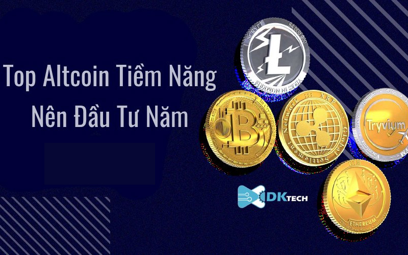 top altcoin tiềm năng