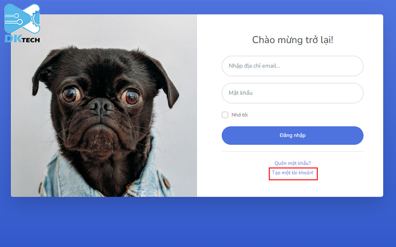 Sinbyte SEO là gì